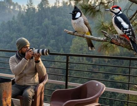 Bird Watching